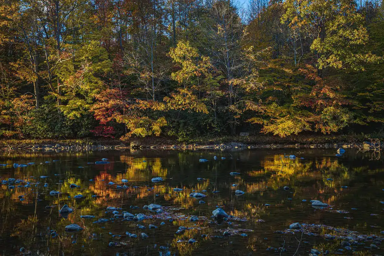 Best Places in PA for Families