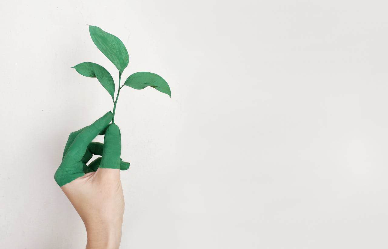 Green moving in Lebanon, PA: Eco-friendly tips for residents