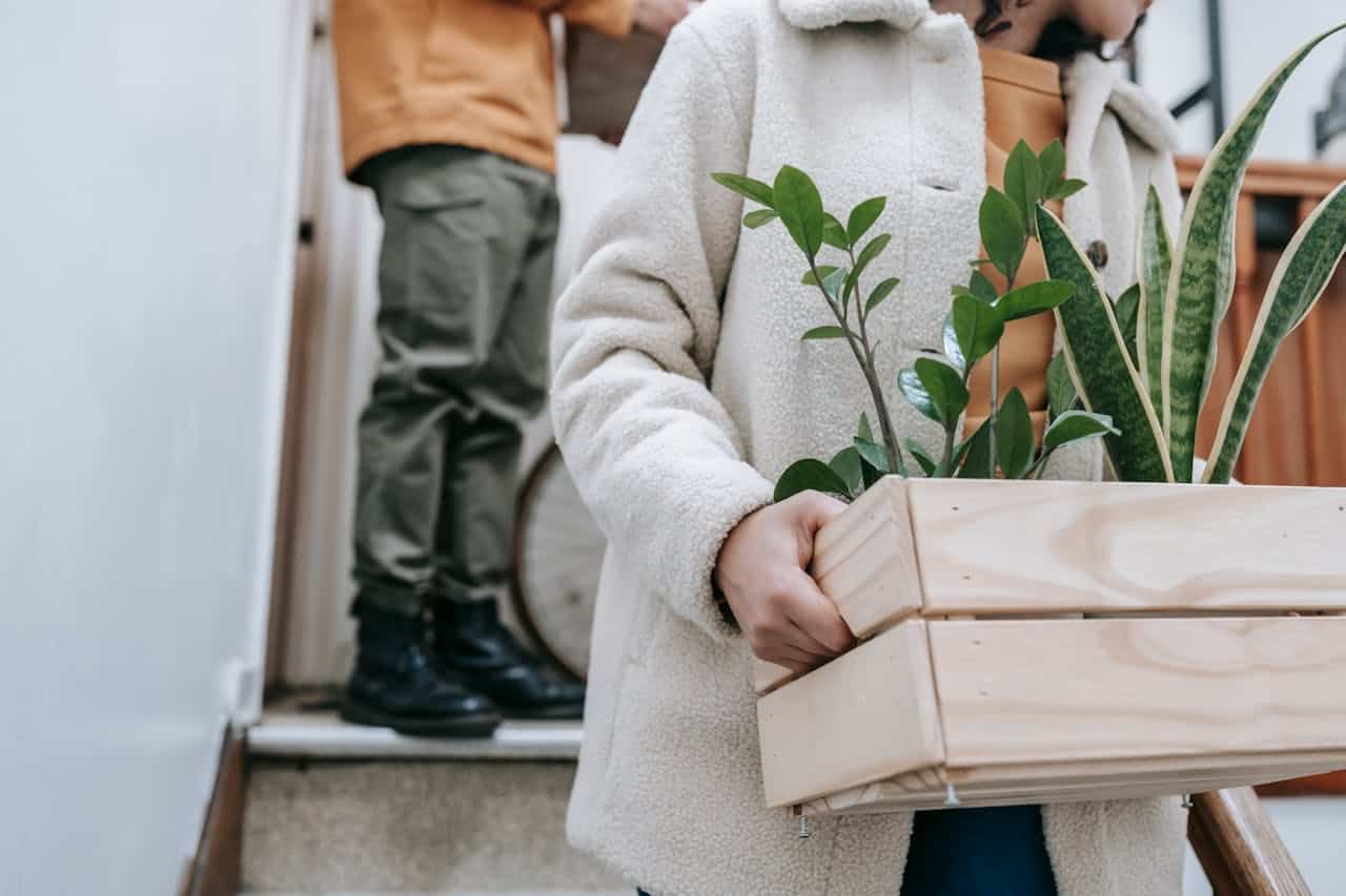 Eco-friendly packing supplies for your Philly move