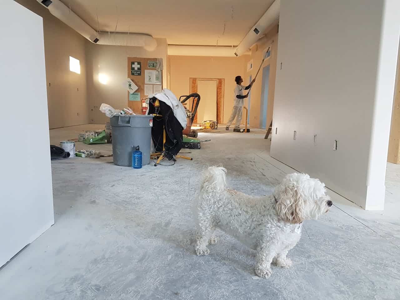Storage solutions for home renovations in Blandon, PA