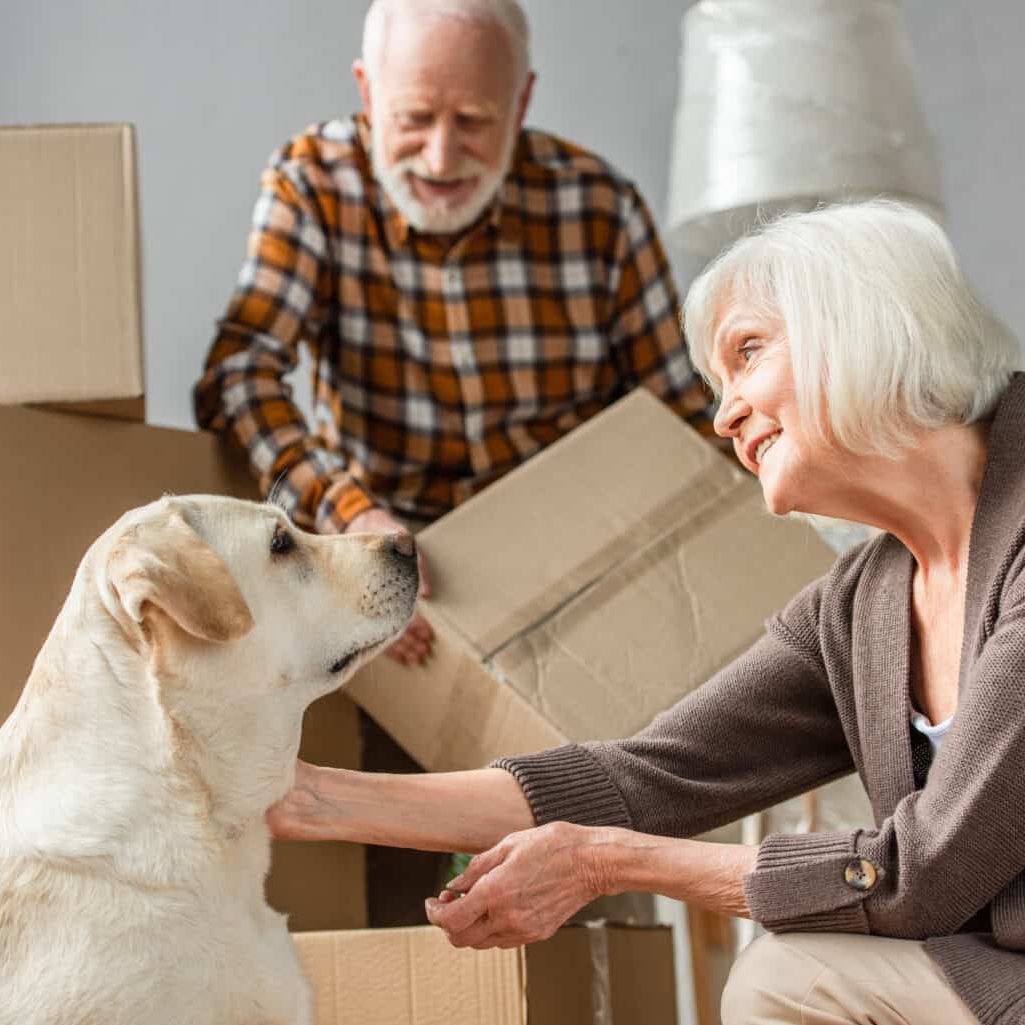 senior moving company